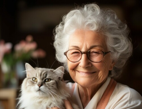 How can pets affect the health of seniors?