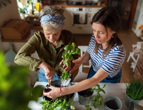 Indoor gardening activities for seniors: improving mental health