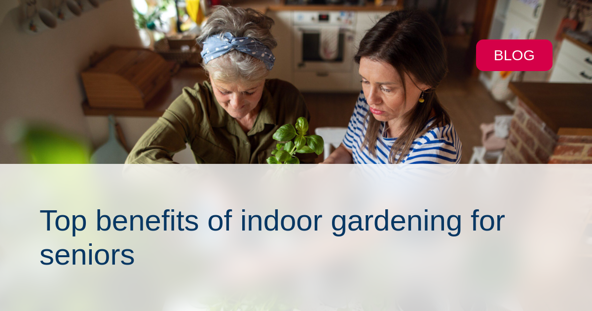 Indoor gardening activities for seniors improving mental health